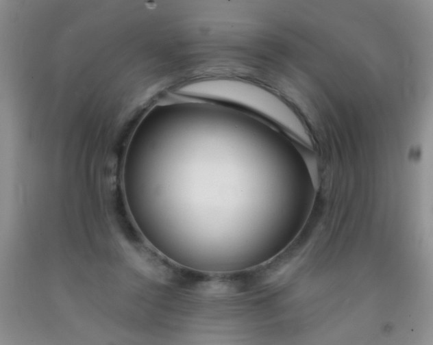 X0000092020356200709201556