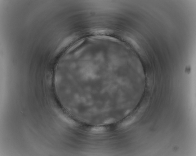 X0000092020357200709201556