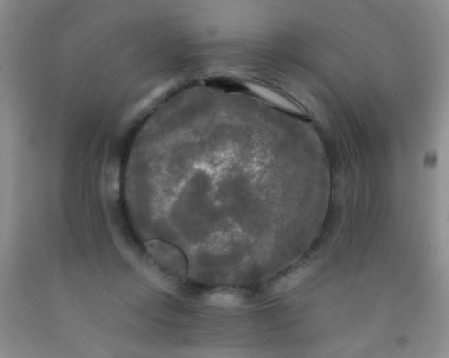 X0000092020358200709201556