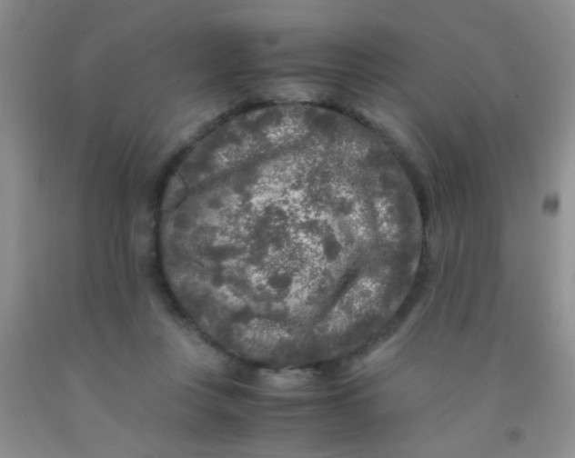 X0000092020359200709201556