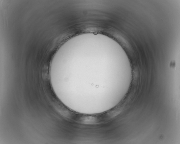 X0000092020361200709201556