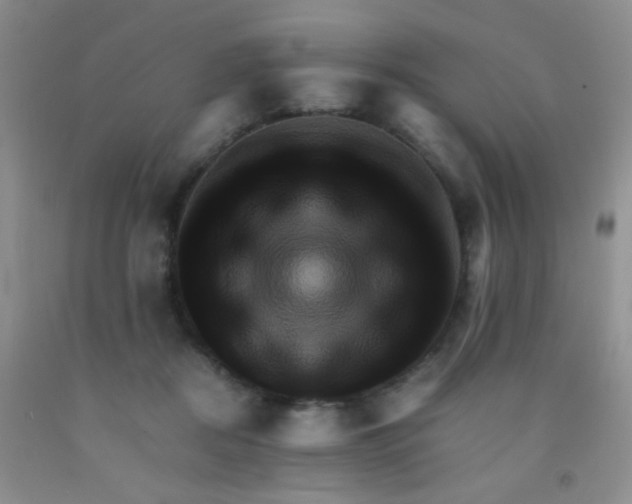 X0000092020362200709201556