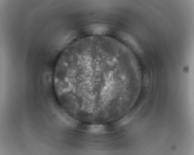 X0000092020363200709201556