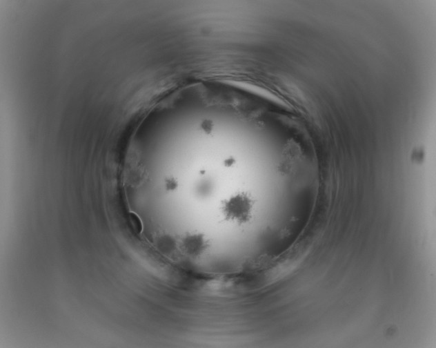 X0000092020366200709201556