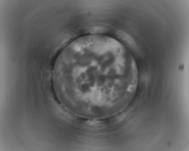 X0000092020367200709201556