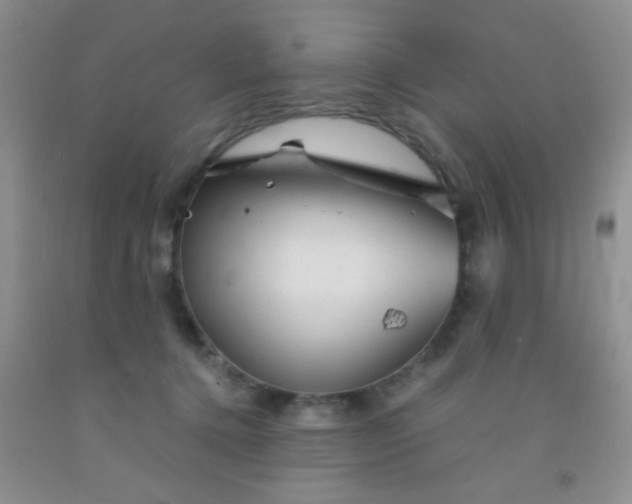 X0000092020368200709201556