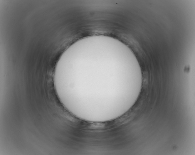 X0000092020369200709201556