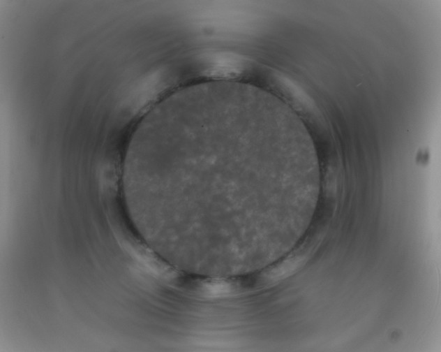 X0000092020370200709201556