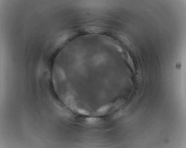 X0000092020371200709201556