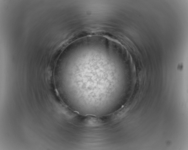 X0000092020372200709201556