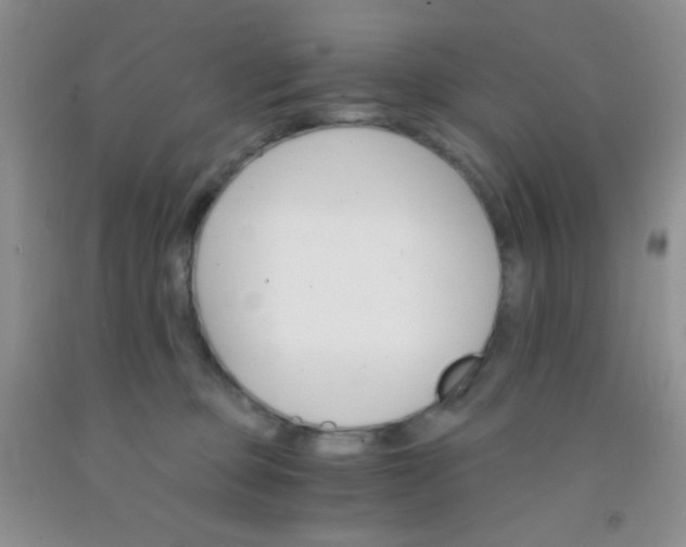 X0000092020373200709201556