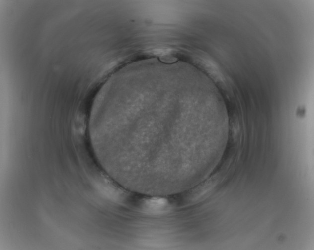 X0000092020374200709201556