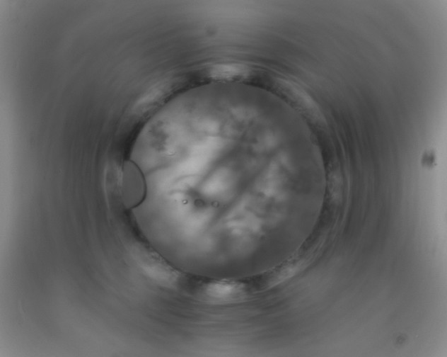 X0000092020375200709201556