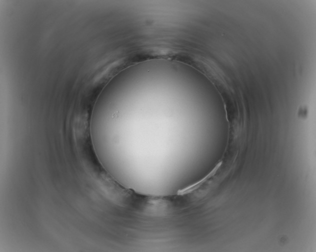 X0000092020376200709201556