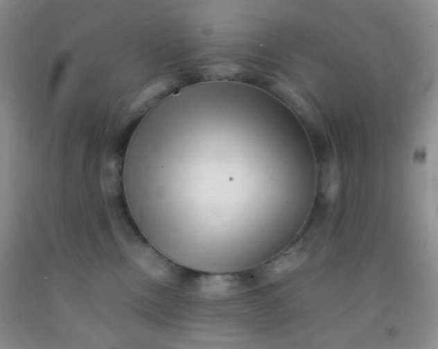 X0000092020378200709201556