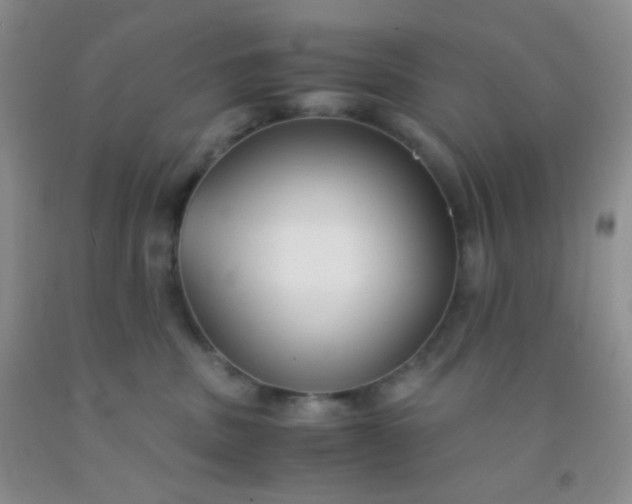 X0000092020379200709201556