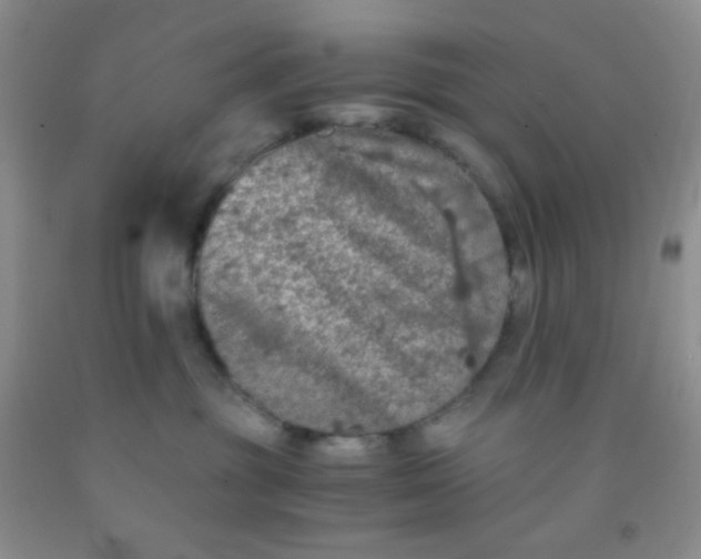 X0000092020381200709201556