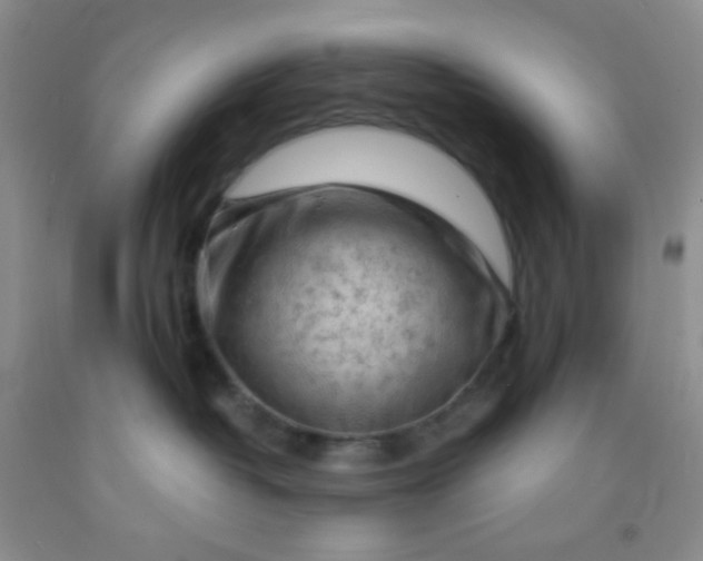 X0000092020382200709201556