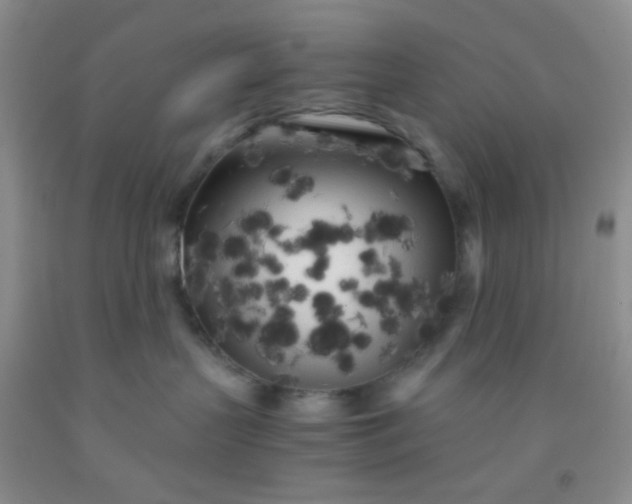 X0000092020383200709201556