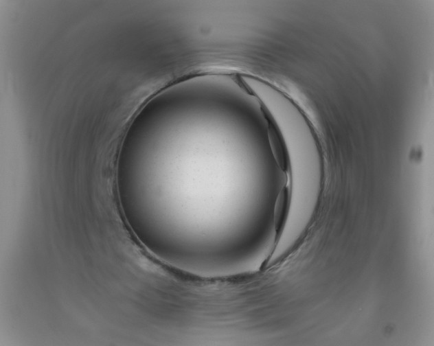 X0000092020385200709201556