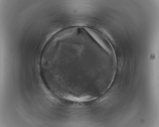 X0000092020386200709201556