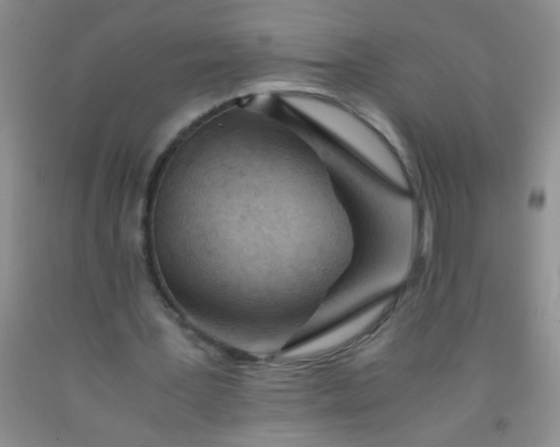 X0000092020387200709201556