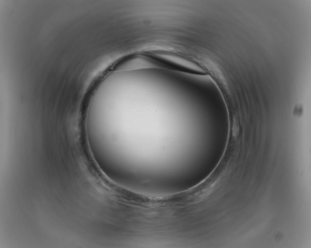 X0000092020388200709201556