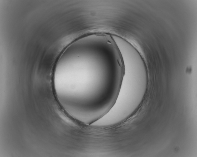 X0000092020389200709201556