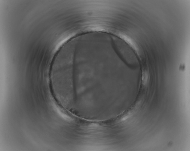 X0000092020390200709201556