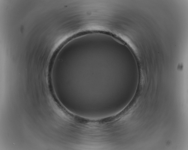 X0000092020391200709201556