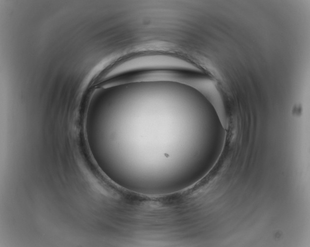 X0000092020392200709201556