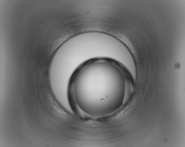 X0000092020393200709201556