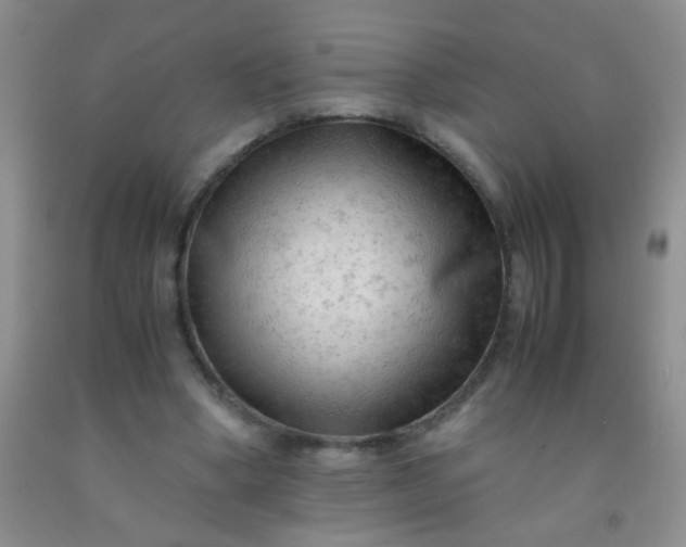 X0000092020394200709201556