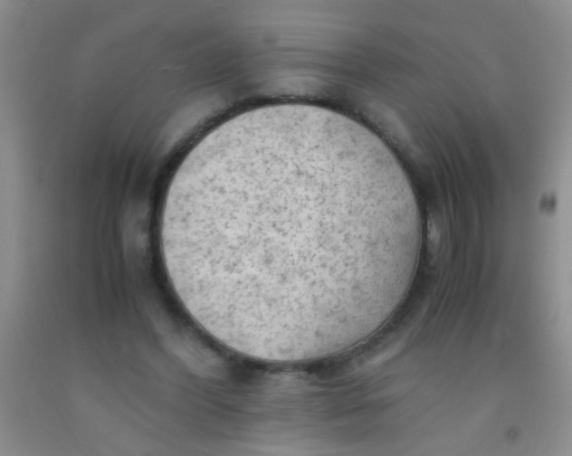 X0000092020396200709201556