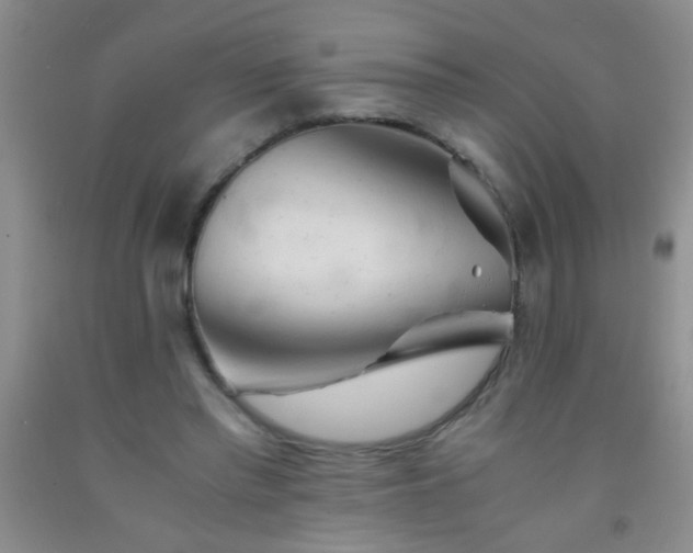 X0000092020397200709201556