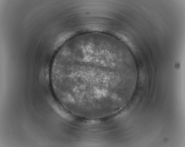 X0000092020398200709201556