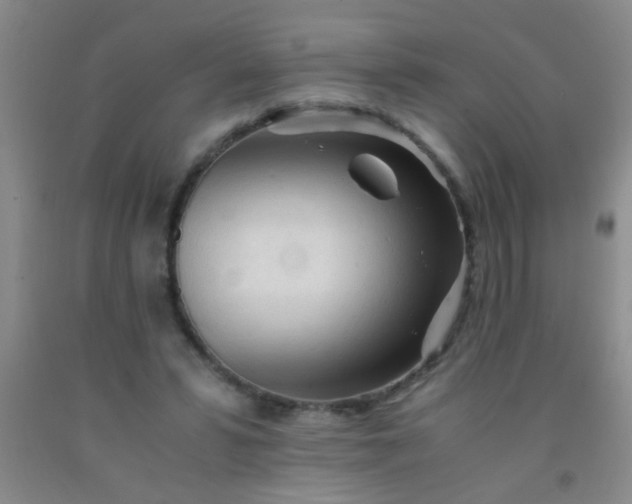 X0000092020399200709201556