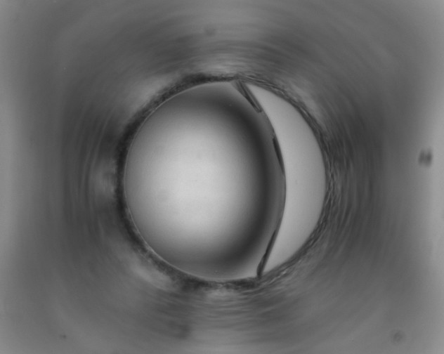 X0000092020400200709201556