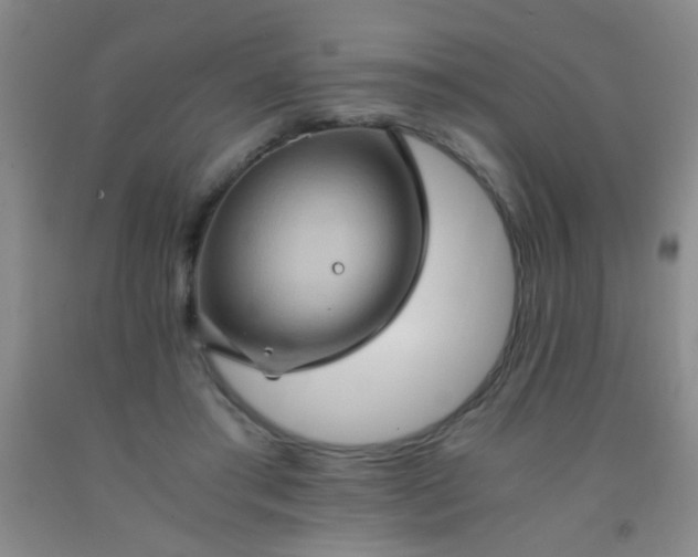 X0000092020405200709201556