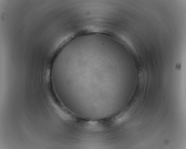 X0000092020406200709201556