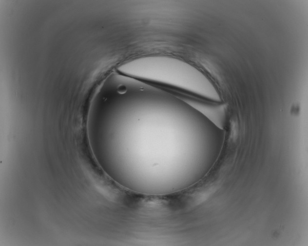 X0000092020407200709201555