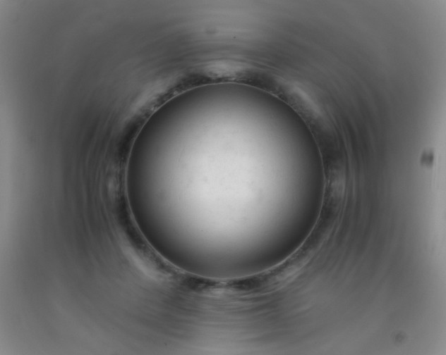 X0000092020408200709201555