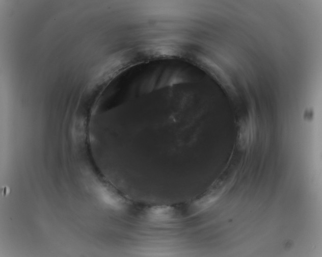 X0000092020410200709201555