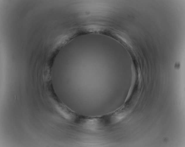 X0000092020411200709201555