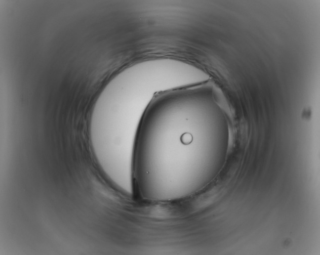 X0000092020412200709201555