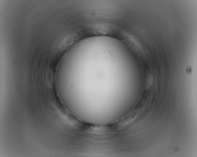 X0000092020414200709201555