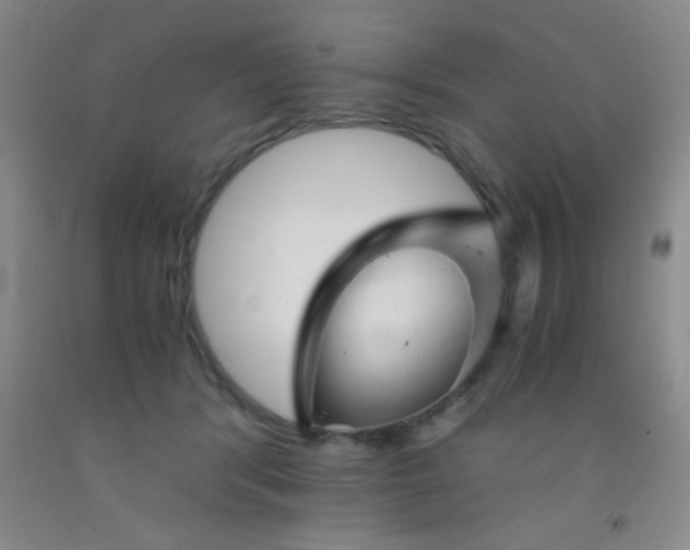 X0000092020416200709201555