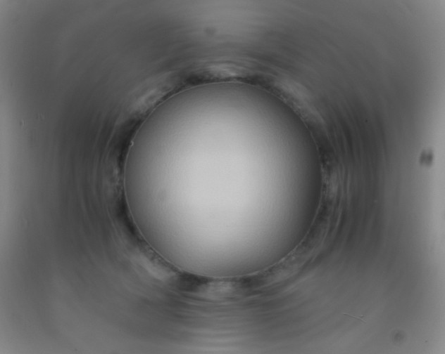 X0000092020418200709201555