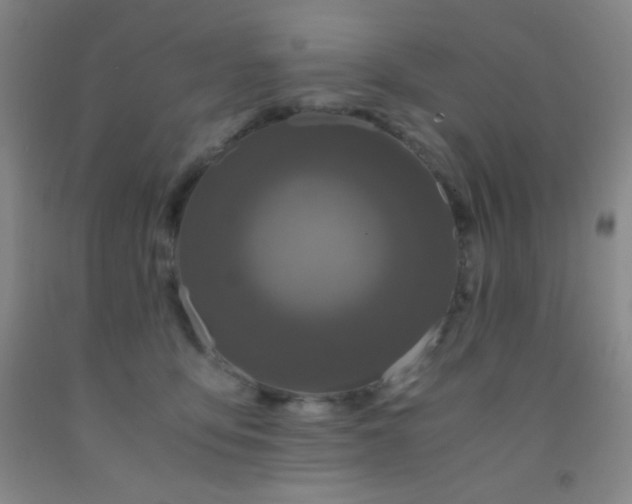 X0000092020419200709201555