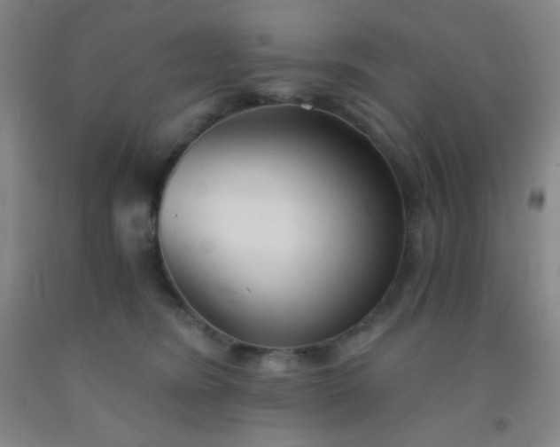 X0000092020420200709201555